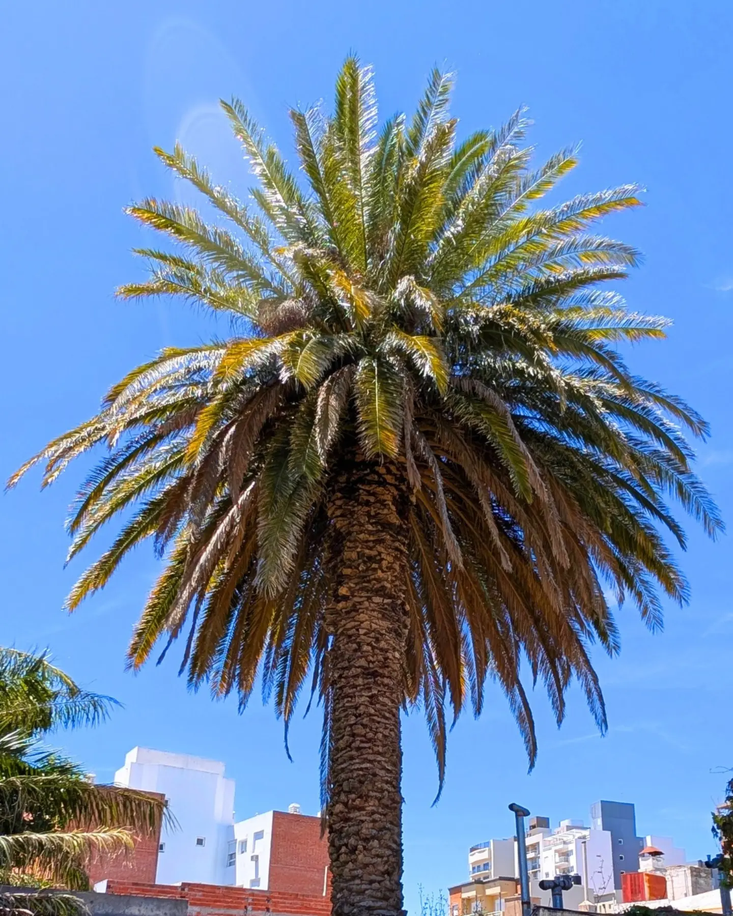 Rincón del Chipá